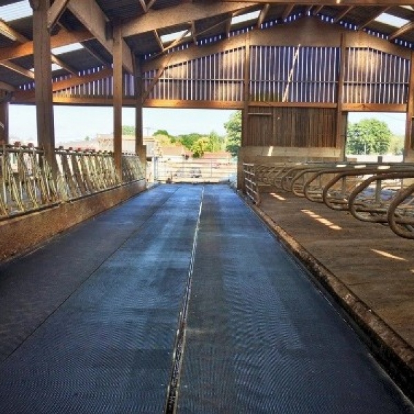 WALKWAY RUBBER